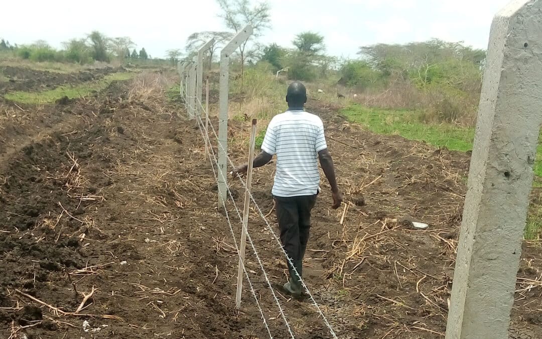 Agrarökologische Kooperative in Bulumera, Uganda gestartet